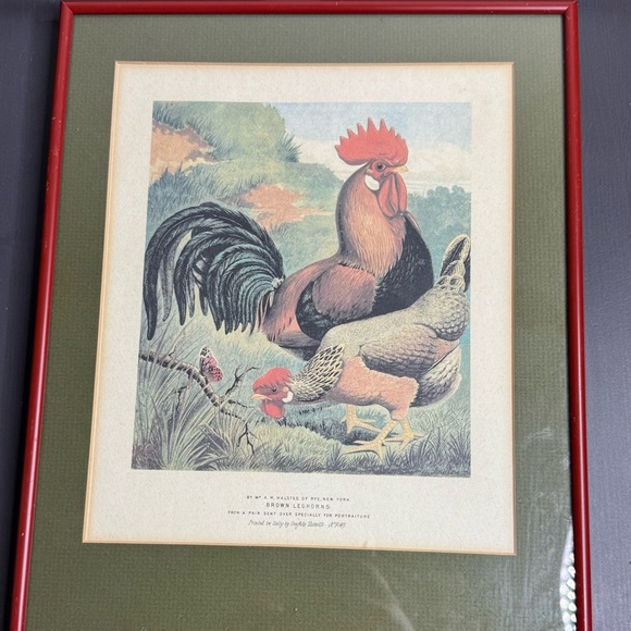 Vintage Pair of Roosters Hens Prints Dorkings Grafiche Tassotti Farmhouse - Picture 3 of 9